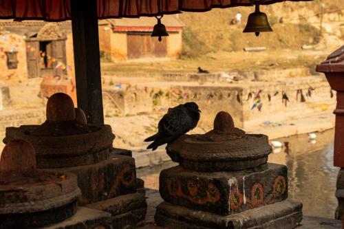 В гости к Тамангам. Однодневное путешествие по холмам Катманду